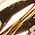 Color Swatch - Gold