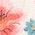 Color Swatch - Floral