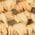 Color Swatch - Tan