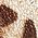 Color Swatch - Animal