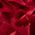 Color Swatch - Burgundy