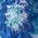 Color Swatch - Blue Multi