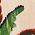Color Swatch - Green
