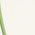 Color Swatch - Green