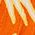Color Swatch - Orange