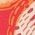 Color Swatch - Red