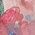 Color Swatch - Floral