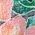 Color Swatch - Floral
