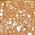 Color Swatch - Gold