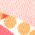 Color Swatch - Multi