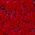 Color Swatch - Ruby
