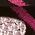 Color Swatch - Floral