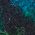 Color Swatch - Black