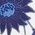Color Swatch - Blue