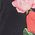 Color Swatch - Black
