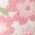 Color Swatch - Pink