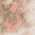 Color Swatch - Pink Multi