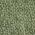 Color Swatch - Green