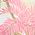 Color Swatch - Pink Ruffle