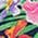 Color Swatch - Multi Floral