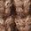 Color Swatch - Brown