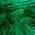 Color Swatch - Green