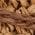 Color Swatch - Tan