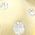 Color Swatch - Champagne