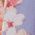 Color Swatch - Floral