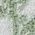 Color Swatch - Green