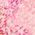 Color Swatch - Pink