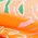 Color Swatch - Multi