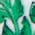 Color Swatch - Green
