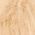Color Swatch - Ivory