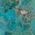 Color Swatch - Turquoise/Silver