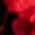 Color Swatch - Red