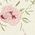 Color Swatch - Ivory