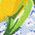 Color Swatch - Yellow