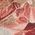 Color Swatch - Pink