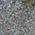 Color Swatch - Silver Ox/Worn Gold