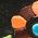 Color Swatch - Multi