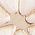 Color Swatch - Gold