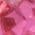 Color Swatch - Pink