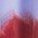 Color Swatch - Floral