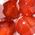 Color Swatch - Orange