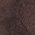 Color Swatch - Java Snake Floral