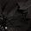 Color Swatch - Black