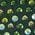 Color Swatch - Green
