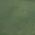 Color Swatch - Green