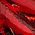 Color Swatch - Red